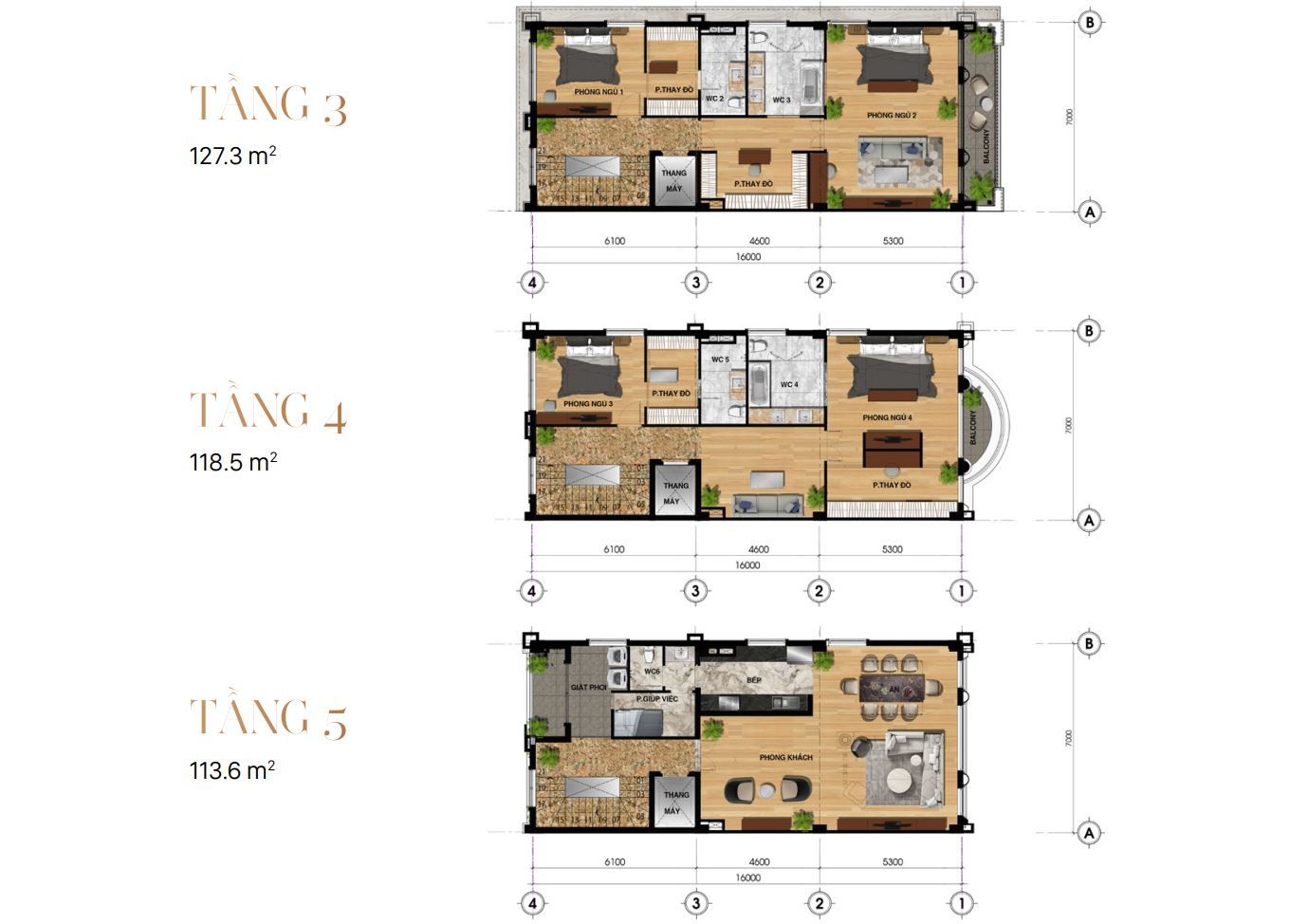 Thiết kế điển hình 2
