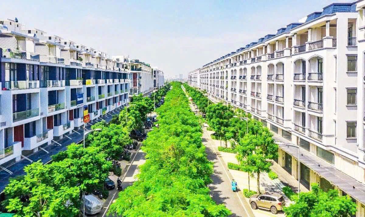 Shophouse_Vanphuc_NTN_tnucte.jpg