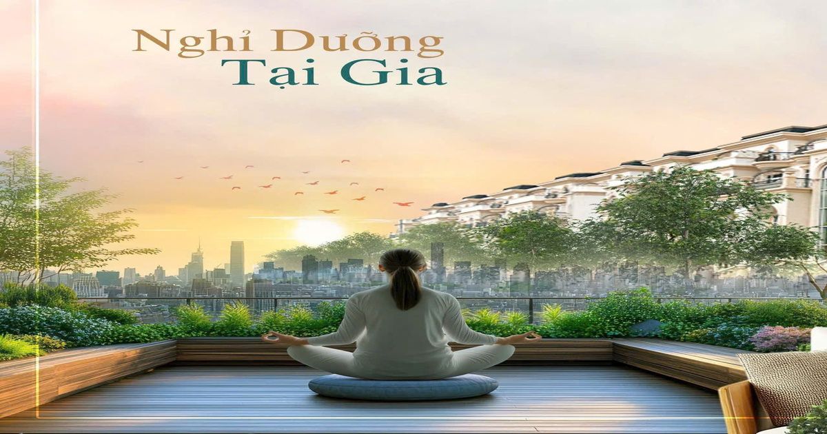 Biệt thự Sunlake Villas 7x23 mặt tiền đường 25m - Hình 4