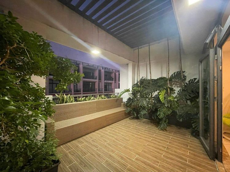 Ban công nhà phố 6x17 m có sàn gỗ, bồn cây xây thấp trồng cây lá lớn và giàn lam mái che, nhìn sang dãy nhà đối diện
