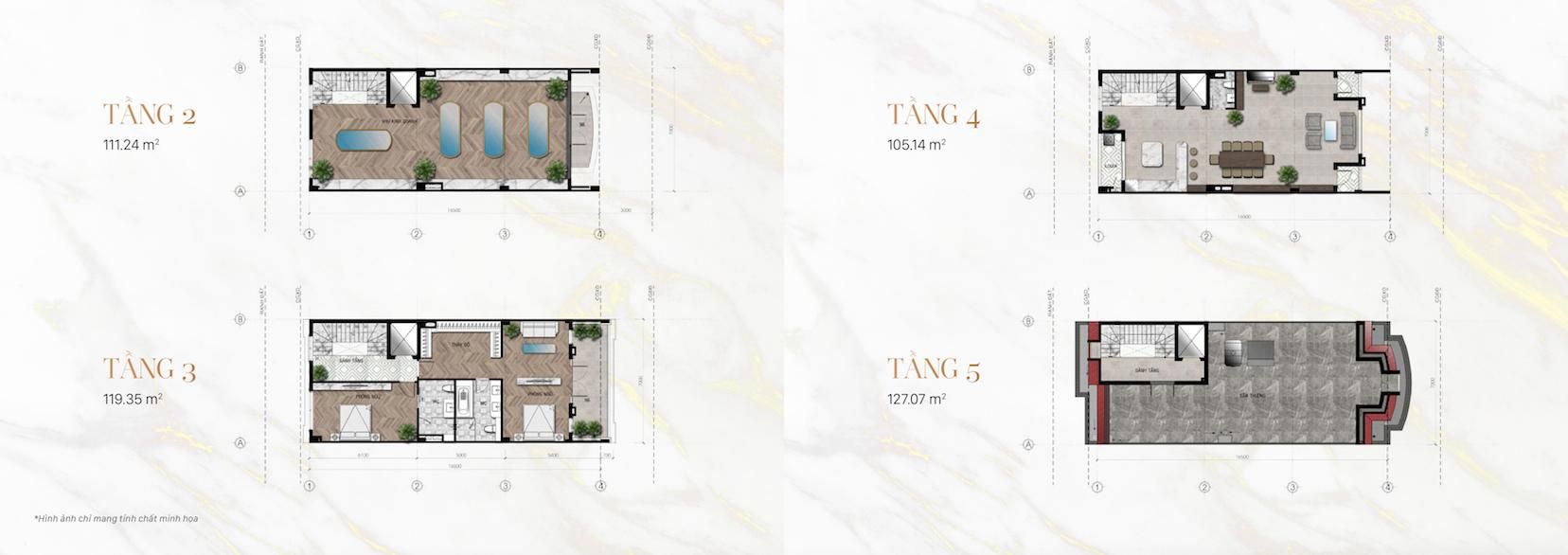 Thiết kế điển hình 1